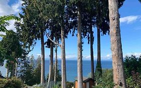 Waterfront Eagle Nest